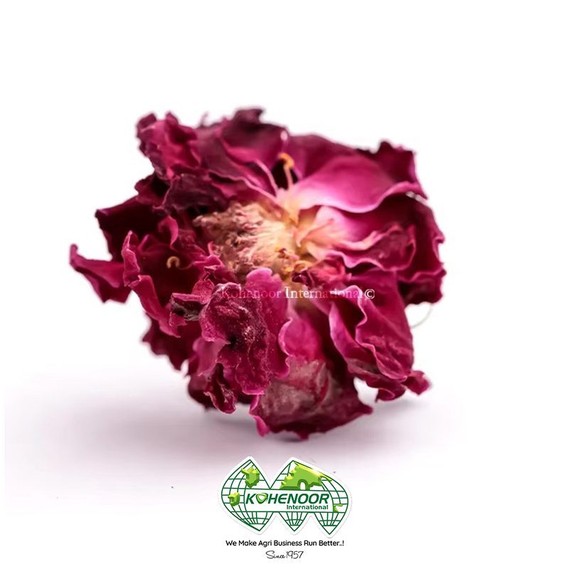 Premium dried rose petals — bulk export quality